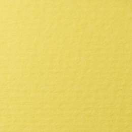 фото Бумага для пастели lana, 160 г/м2, лист 70х100 см, светло-жёлтый