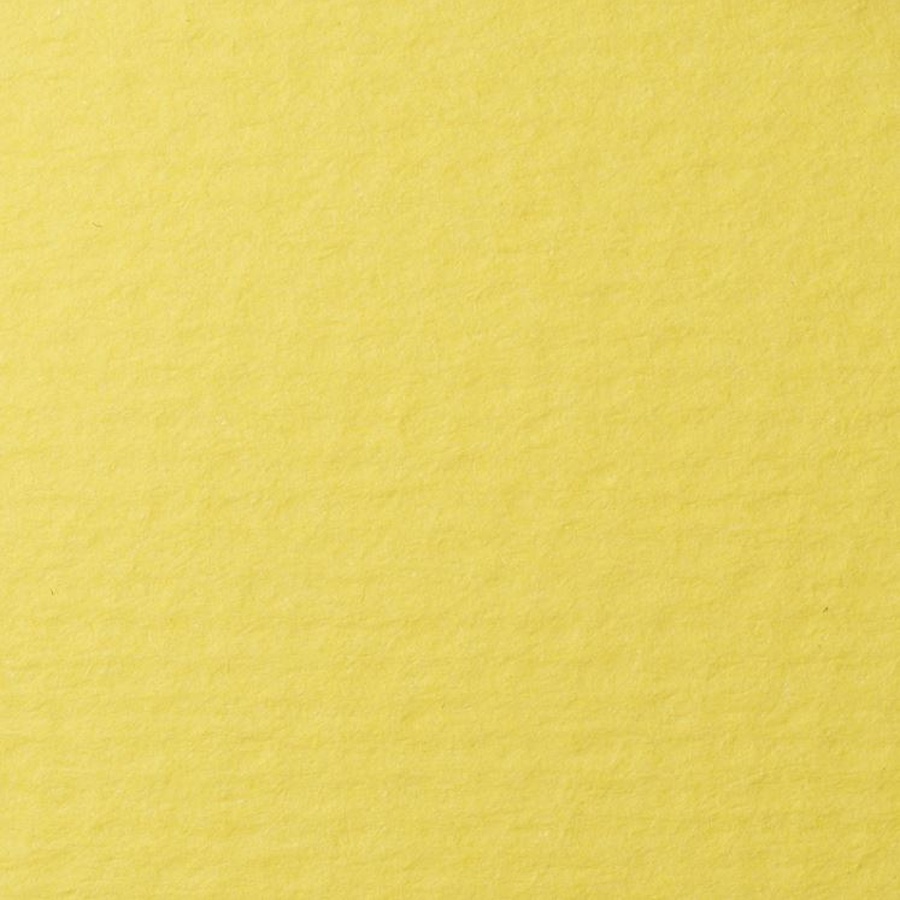 фото Бумага для пастели lana, 160 г/м2, лист 70х100 см, светло-жёлтый