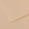 картинка Бумага для пастели canson mi-teintes, 160 г/м2, лист 50х65 см, № 112 скорлупа