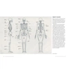 фотография Ости р. основы анатомии человека. наглядное руководство для художников