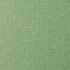 фотография Бумага для пастели lana, 160 г/м2, лист 50х65 см, зелёный сок