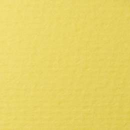 фото Бумага для пастели lana, 160 г/м2, лист а4, светло-жёлтый
