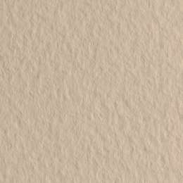 картинка Бумага для пастели fabriano tiziano, 160 г/м2, лист 50x65 см, слоновая кость № 40