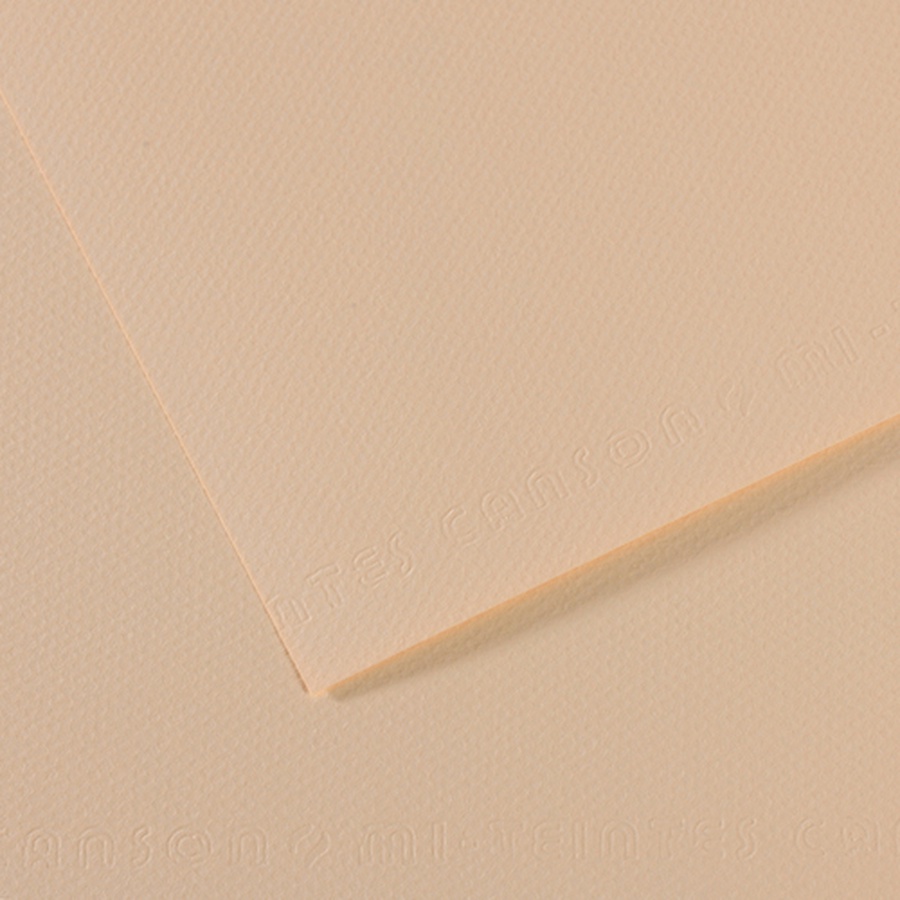 картинка Бумага для пастели canson mi-teintes, 160 г/м2, лист 50х65 см, № 112 скорлупа
