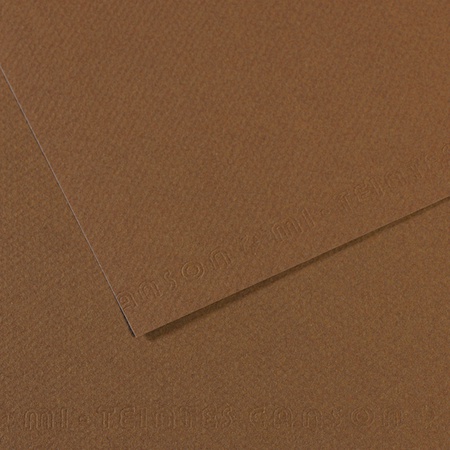 Бумага для пастели Canson Mi-Teintes, 160 г/м2, лист А4, № 133 сепия