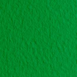 изображение Бумага для пастели fabriano tiziano 160г 70x100 темно-зеленый