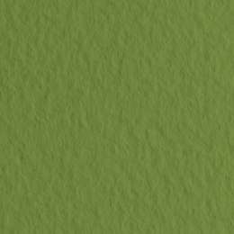 изображение Бумага для пастели fabriano tiziano, 160 г/м2, лист 50x65 см, зелёный фисташковый № 43