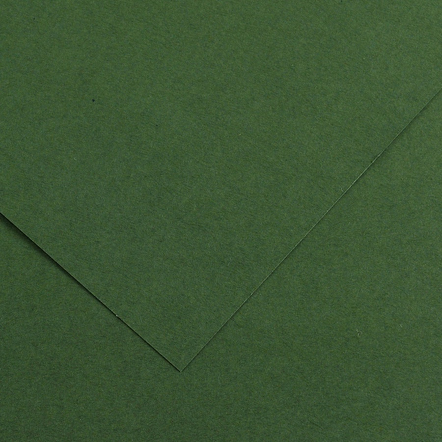 изображение Бумага цветная canson iris vivaldi, 240 г/м2, лист а4, № 31 тёмно-зелёный