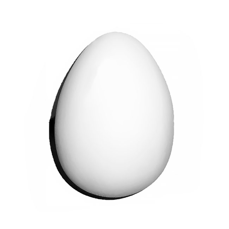 фото Гипсовое учебное пособие экорше в форме яйца, диаметр 20 см