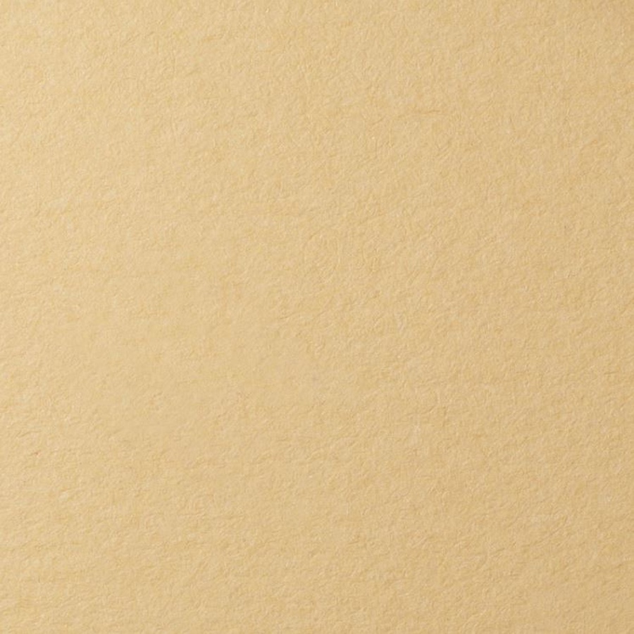 изображение Бумага для пастели lana, 160 г/м2, лист а3, песочный