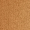 изображение Бумага цветная fabriano cartacrea 220г 21x29,7 сиена