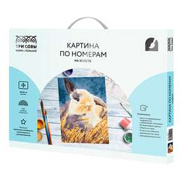 фото Картина по номерам на холсте "кролик", 30*40 см