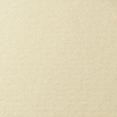 фото Бумага для пастели lana, 160 г/м2, лист а4, кремовый
