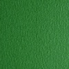 картинка Бумага цветная fabriano cartacrea 220г 21x29,7 трав