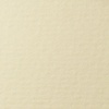 фото Бумага для пастели lana, 160 г/м2, лист а4, кремовый