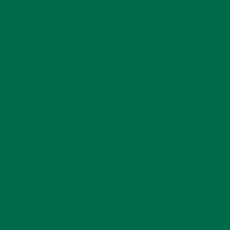 фото Бумага цветная folia, 300 г/м2, лист 50х70 см, зелёная ель