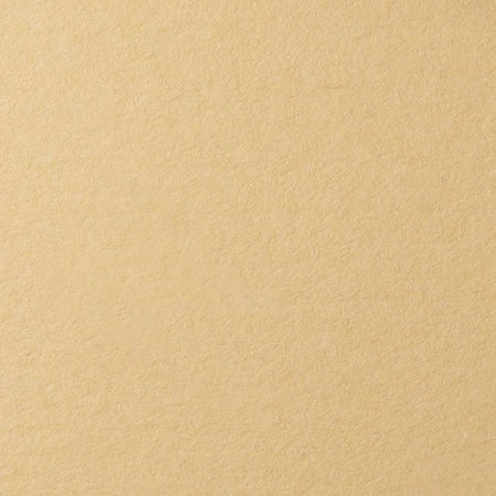 фотография Бумага для пастели lana, 160 г/м2, лист а3, песочный