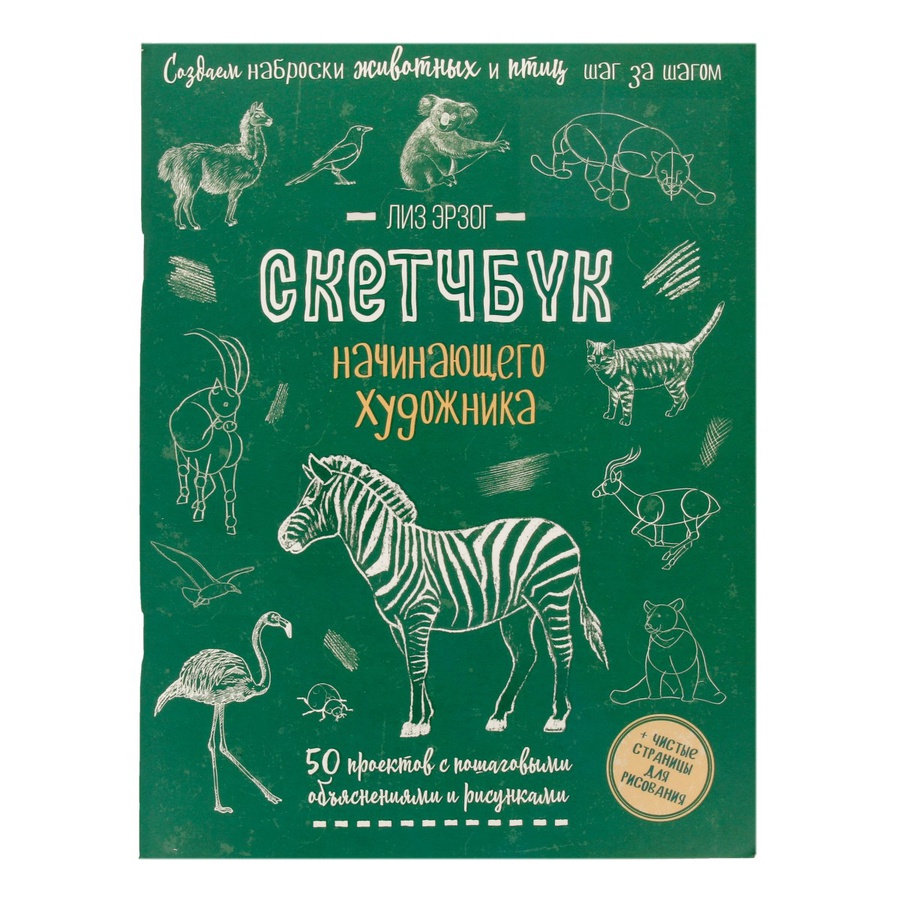 фото Скетчбук создаем наброски животных и птиц (зебра зеленая)
