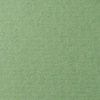 фото Бумага для пастели lana, 160 г/м2, лист а4, зелёный сок