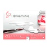 картинка Альбом-склейка для акварели hahnemuhle expression, 300 г/м2, 30х40 см, 100% хлопок, 20 л