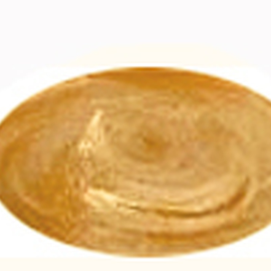 фотография Паста бронзовая для золочения ferrario, 20 мл, № 2 бледное золото