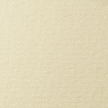 фотография Бумага для пастели lana, 160 г/м2, лист а3, кремовый