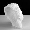 фото Гипсовая фигура маска венеры милосской