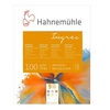 картинка Альбом для пастели hahnemuhle ingres 100 г/м2, 24х31 см, 20 листов
