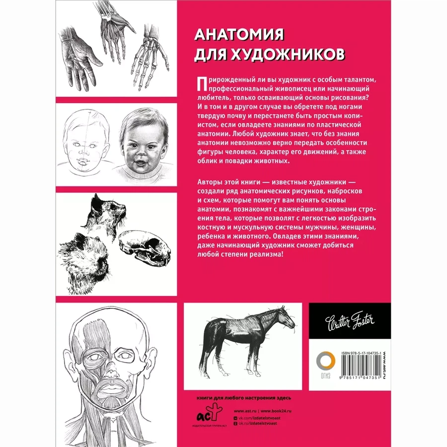 фотография Книга "анатомия для художников"