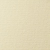 изображение Бумага для пастели lana, 160 г/м2, лист 70х100 см, кремовый