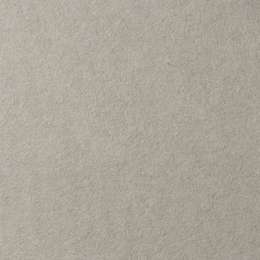 фотография Бумага для пастели lana, 160 г/м2, лист 70х100 см, холодный серый