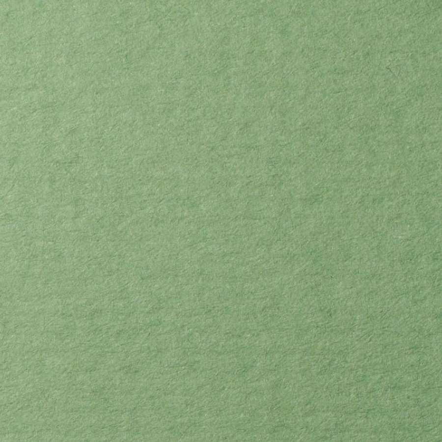 картинка Бумага для пастели lana, 160 г/м2, лист 50х65 см, зелёный сок