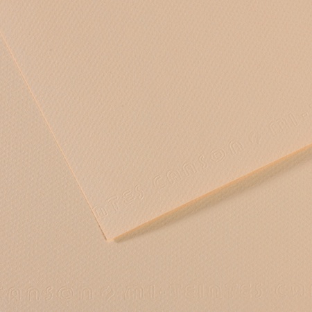 Бумага для пастели Canson Mi-Teintes, 160 г/м2, лист А4, № 112 скорлупа