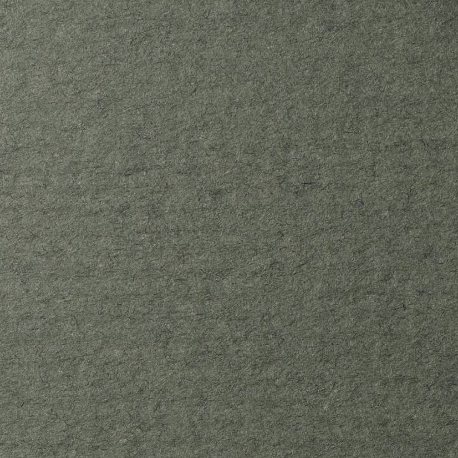 изображение Бумага для пастели lana, 160 г/м2, лист 50х65 см, виридоновый зелёный