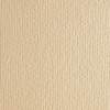 изображение Бумага цветная fabriano cartacrea 220г 21x29,7 бежев