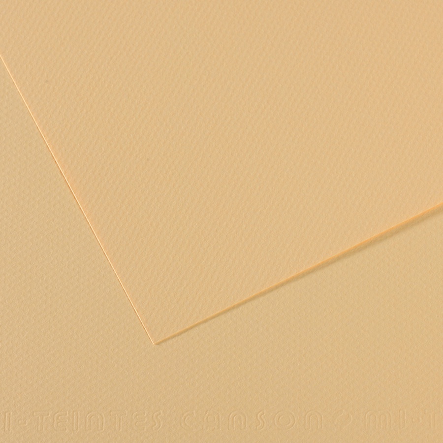 изображение Бумага для пастели canson mi-teintes, 160 г/м2, лист 75х110 см, № 407 кремовый