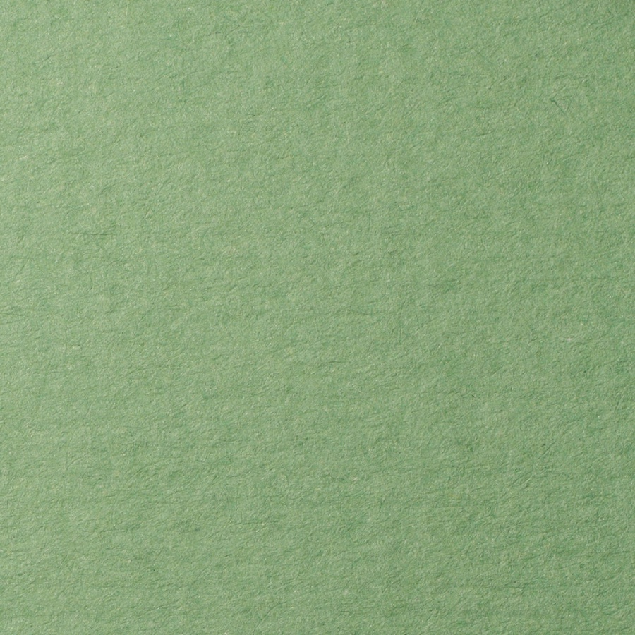 изображение Бумага для пастели lana, 160 г/м2, лист 70х100 см, зелёный сок
