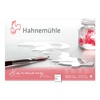 картинка Альбом-склейка для акварели hahnemuhle harmony, 300 г/м2, а4, 12 л