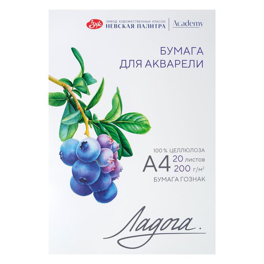 картинка Папка с бумагой для акварели ладога а4 подарок