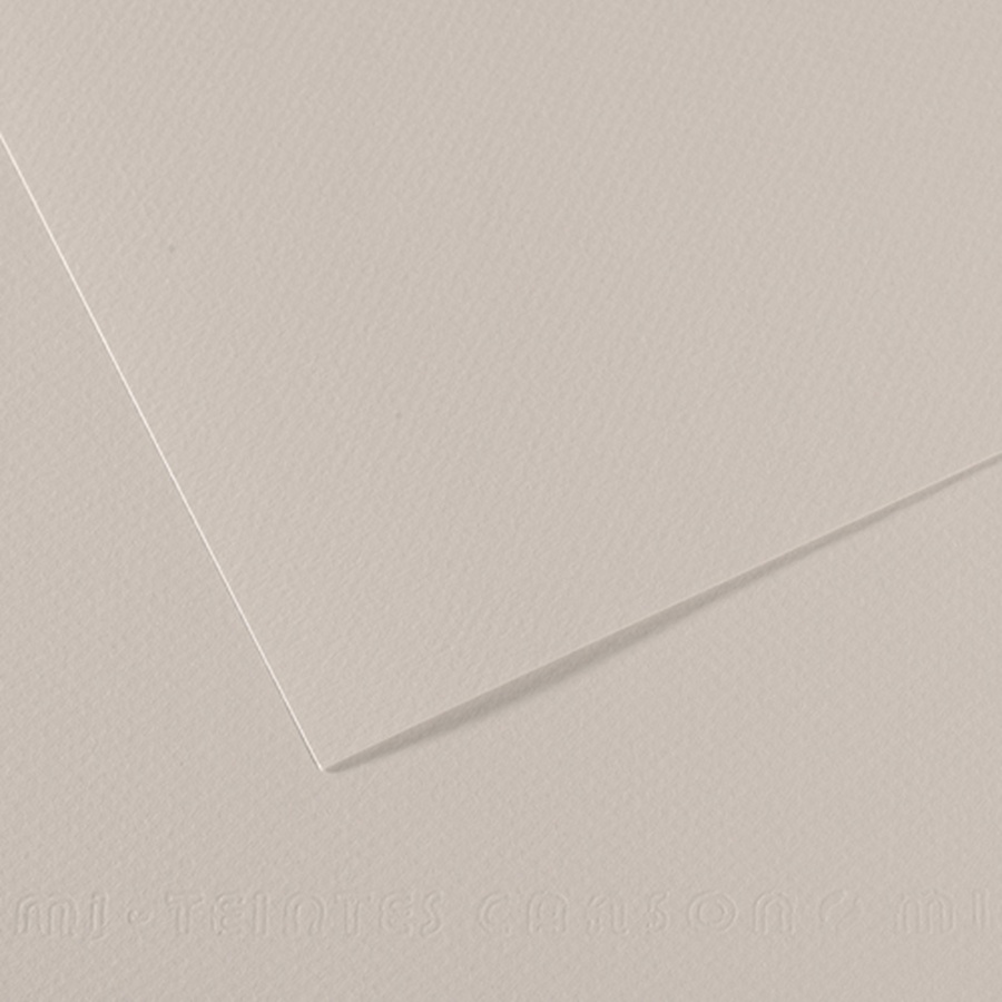 фотография Бумага для пастели canson mi-teintes, 160 г/м2, лист а4, № 120 жемчужно-серый