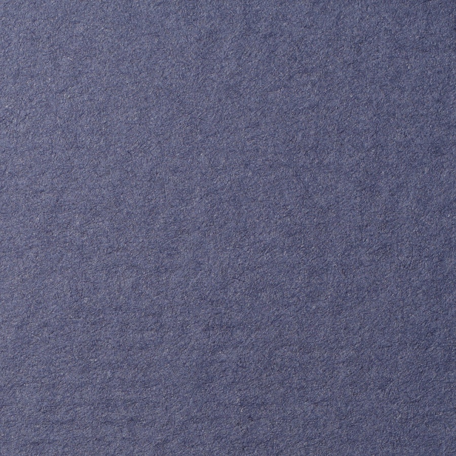 фотография Бумага для пастели lana, 160 г/м2, лист 70х100 см, тёмно-синий