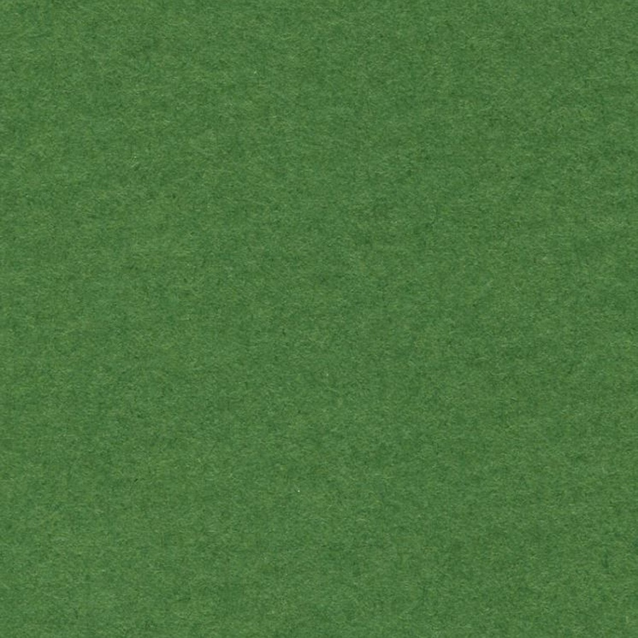 картинка Бумага для пастели lana, 160 г/м2, лист а4, зелёный еловый