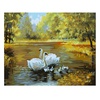 картинка Живопись на холсте 40х50 см. лебеди в пруду