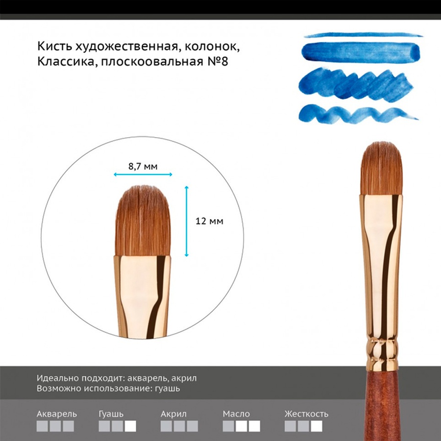 картинка Кисть колонок гамма "классика", плоскоовальная №8