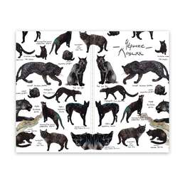 изображение Скетчбук maxgoodz pocket fox and owl a6, 32 листа, 100 г/м2, чёрные кошки