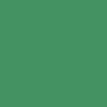 фото Бумага цветная folia, 300 г/м2, лист а4, зелёный мох