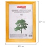 картинка Рамка 15х20 см, дерево, багет 18 мм, brauberg "pinewood", янтарь, стекло, подставка