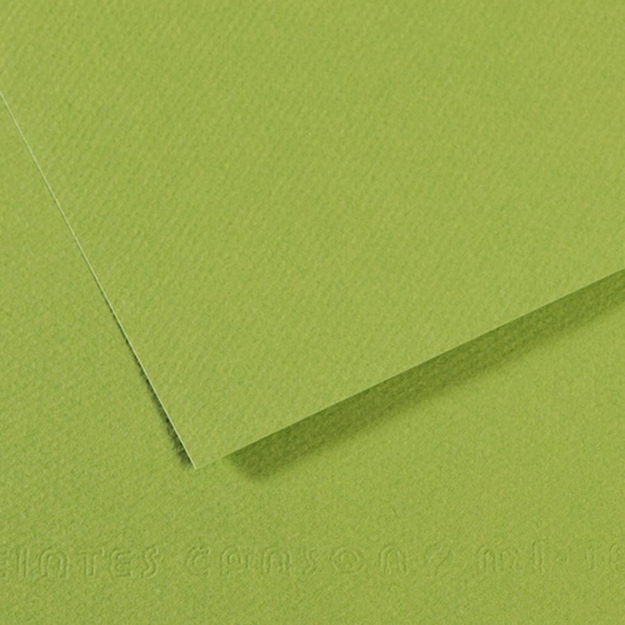 фото Бумага для пастели canson mi-teintes, 160 г/м2, лист 50х65 см, № 475 зелёное яблоко