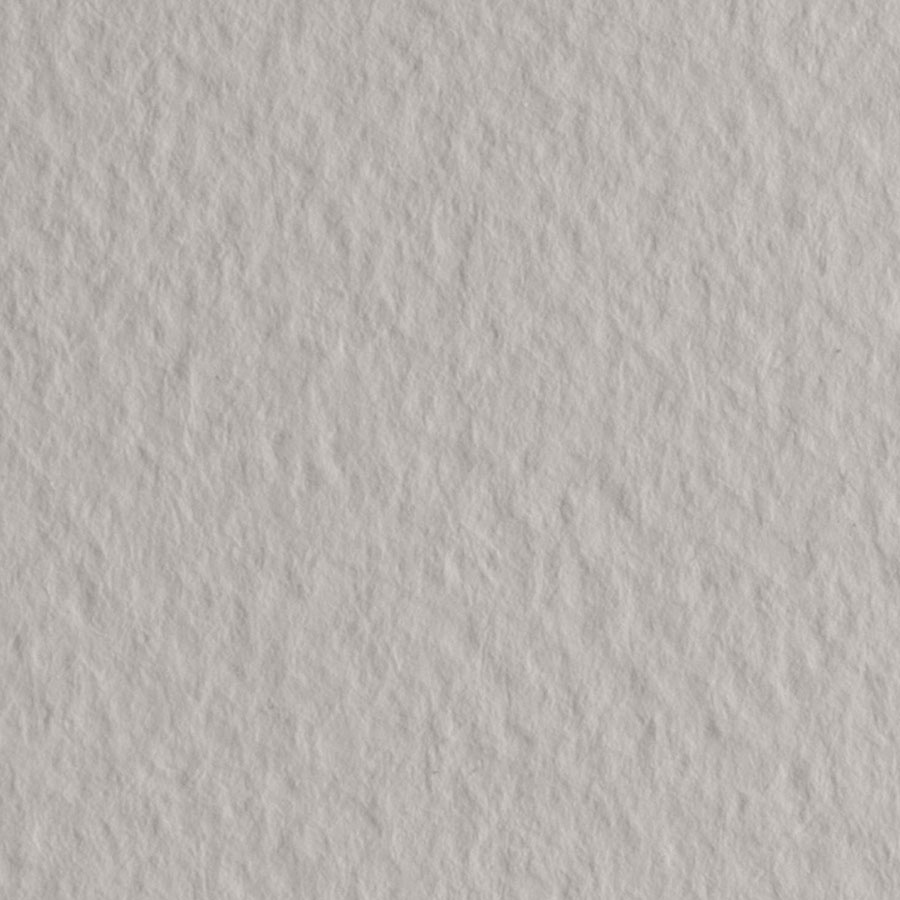 картинка Бумага для пастели fabriano tiziano, 160 г/м2, лист а4, белый перламутровый № 26