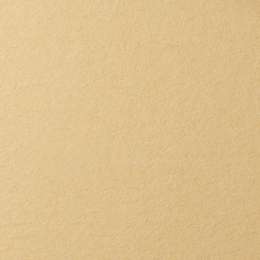 фотография Бумага для пастели lana, 160 г/м2, лист а3, песочный